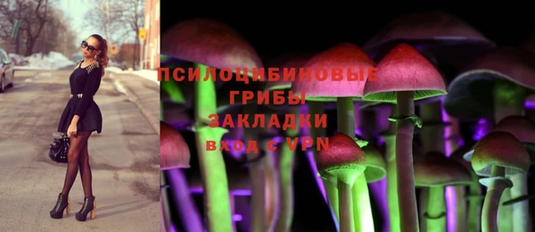 кокс Алзамай