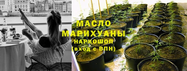 крисы Абдулино