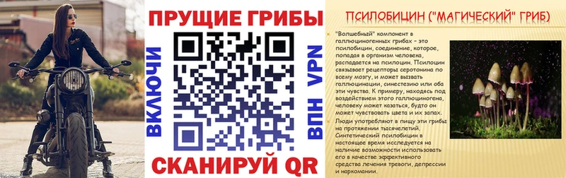 Псилоцибиновые грибы Psilocybe  Челябинск 